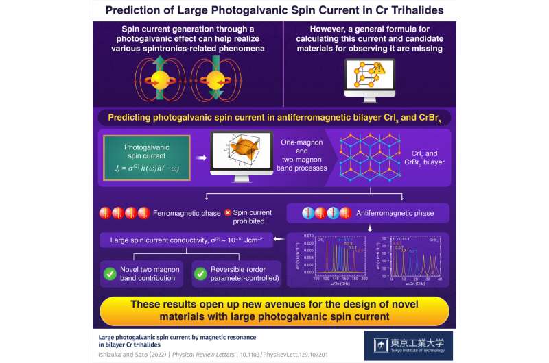 Credit: Tokyo Tech Investigation of the spin current induced by magnetic excitation in triple Cr