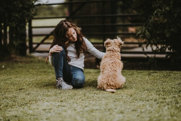 girl petting a dog girl petting a dog